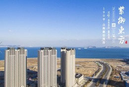 紫御东方 在线工地